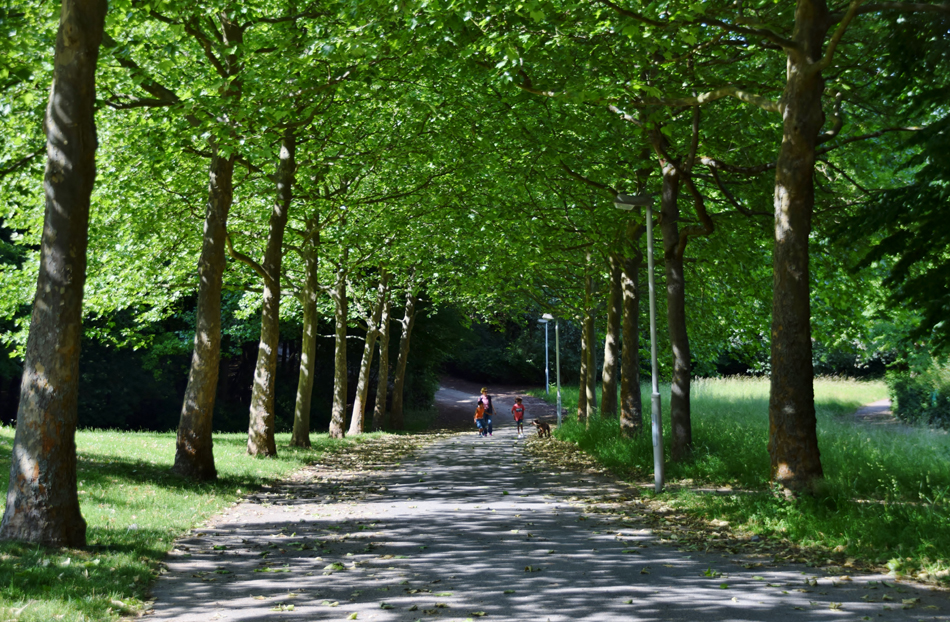 (c) Mainz-Lerchenberg.de
